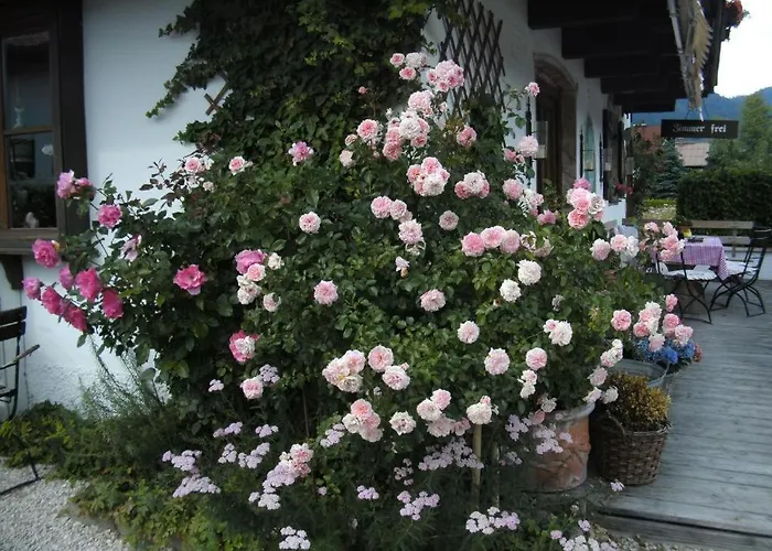 Pension Louise 3* ريت ام وينكل