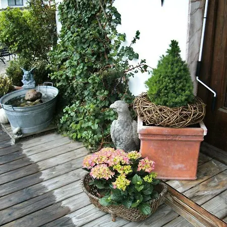Pension Louise Guest house 3*