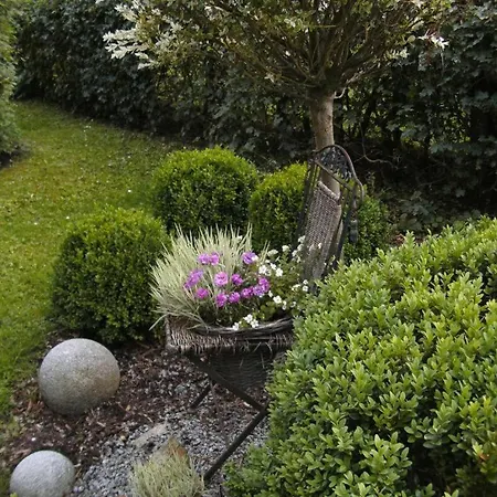 Guest house Pension Louise
