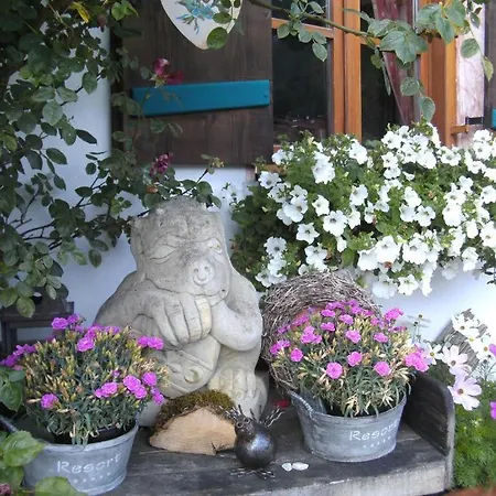 Pension Louise 3*