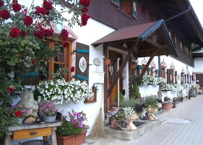 Pension Louise Penzion