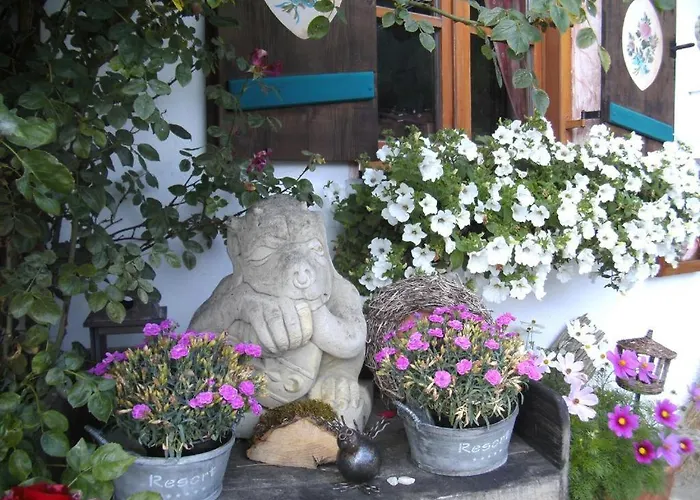 Pension Louise 3*